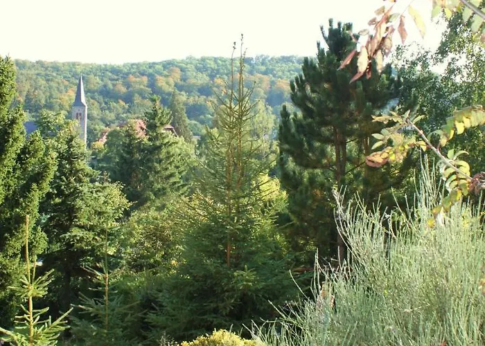 Harzblick Semesterbostad